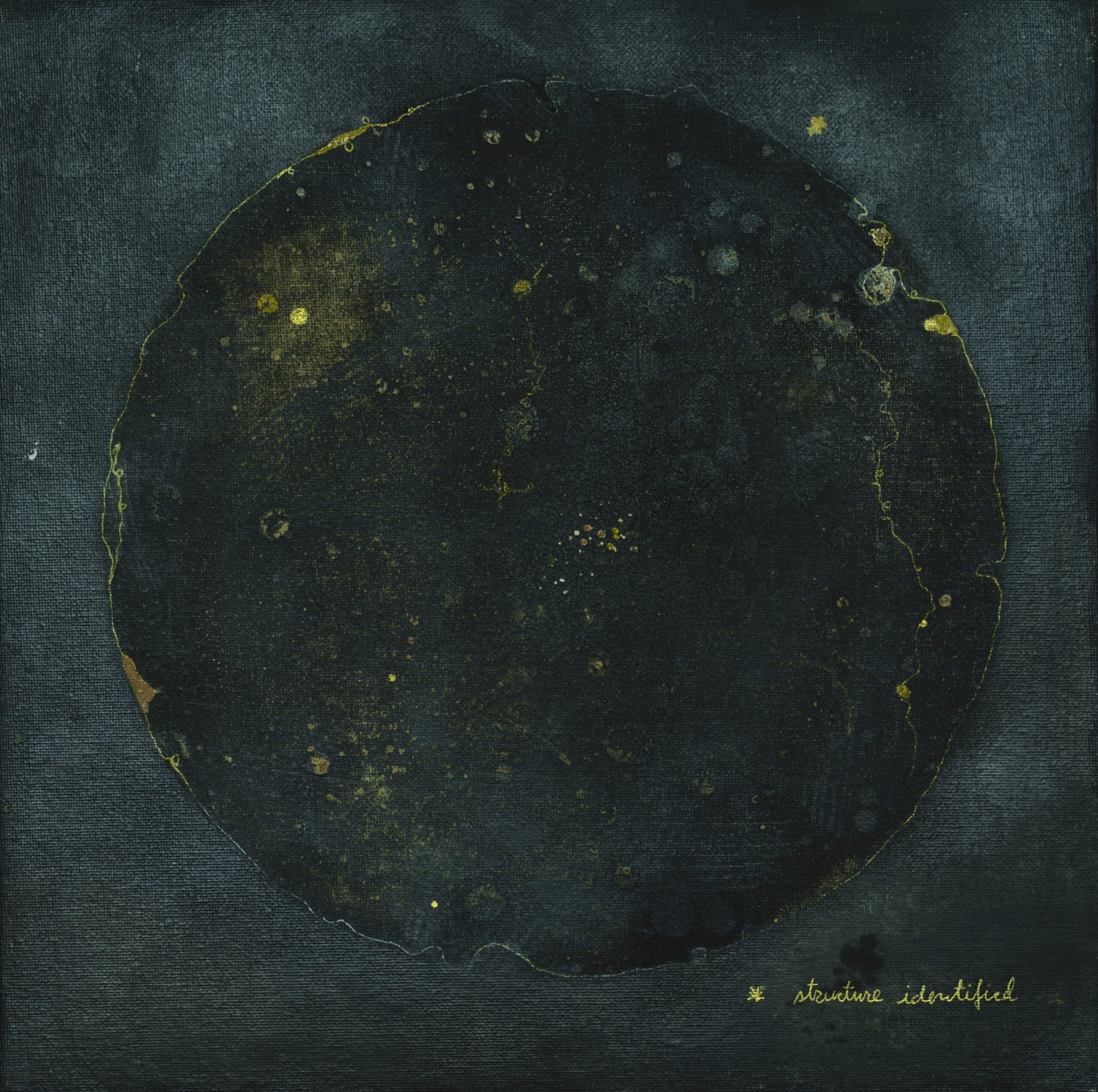 Roxana Donaldson – Pathology as an Affective Cartography